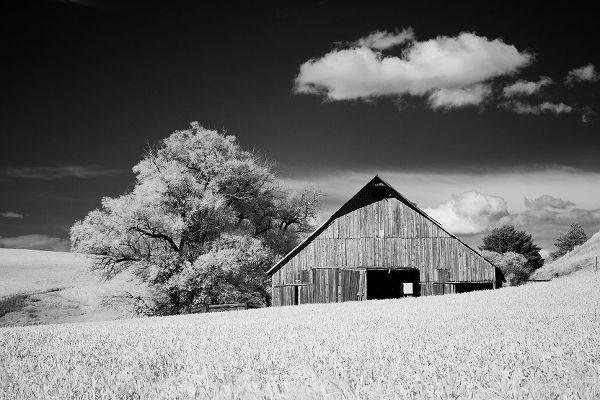 Eggers, Terry 아티스트의 USA-Palouse Country-Washington State-Infrared Palouse fields and barn작품입니다.